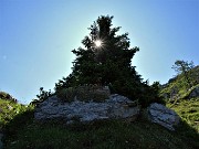 28 La 'stella' del sole 